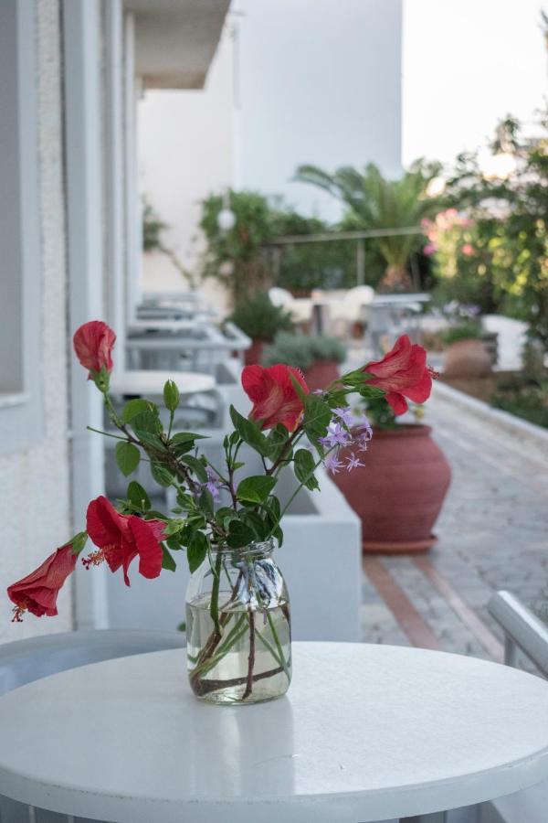 Stefanie Studios Agia Marina エクステリア 写真